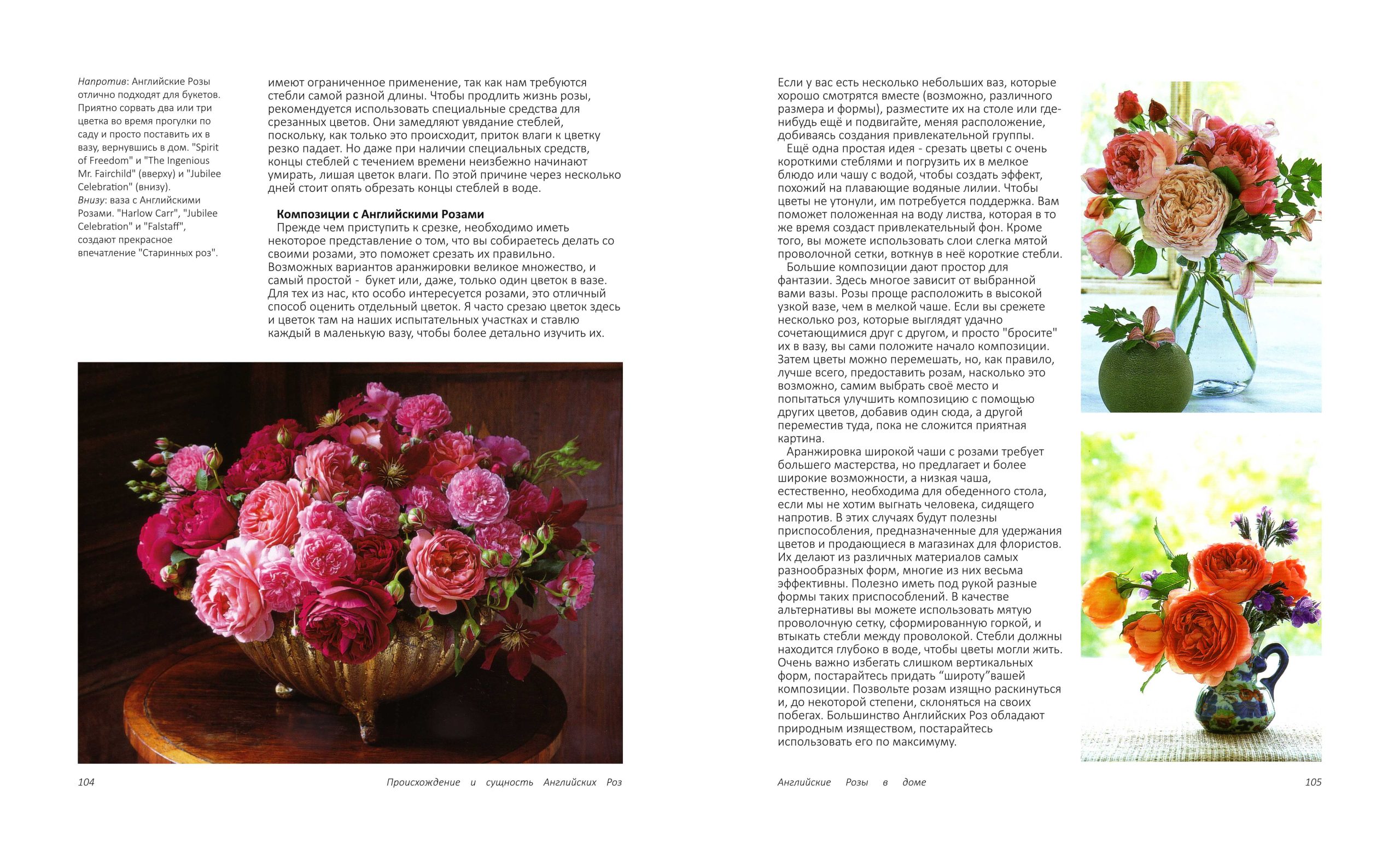 ЭнциклопедияДОстина-105 copy